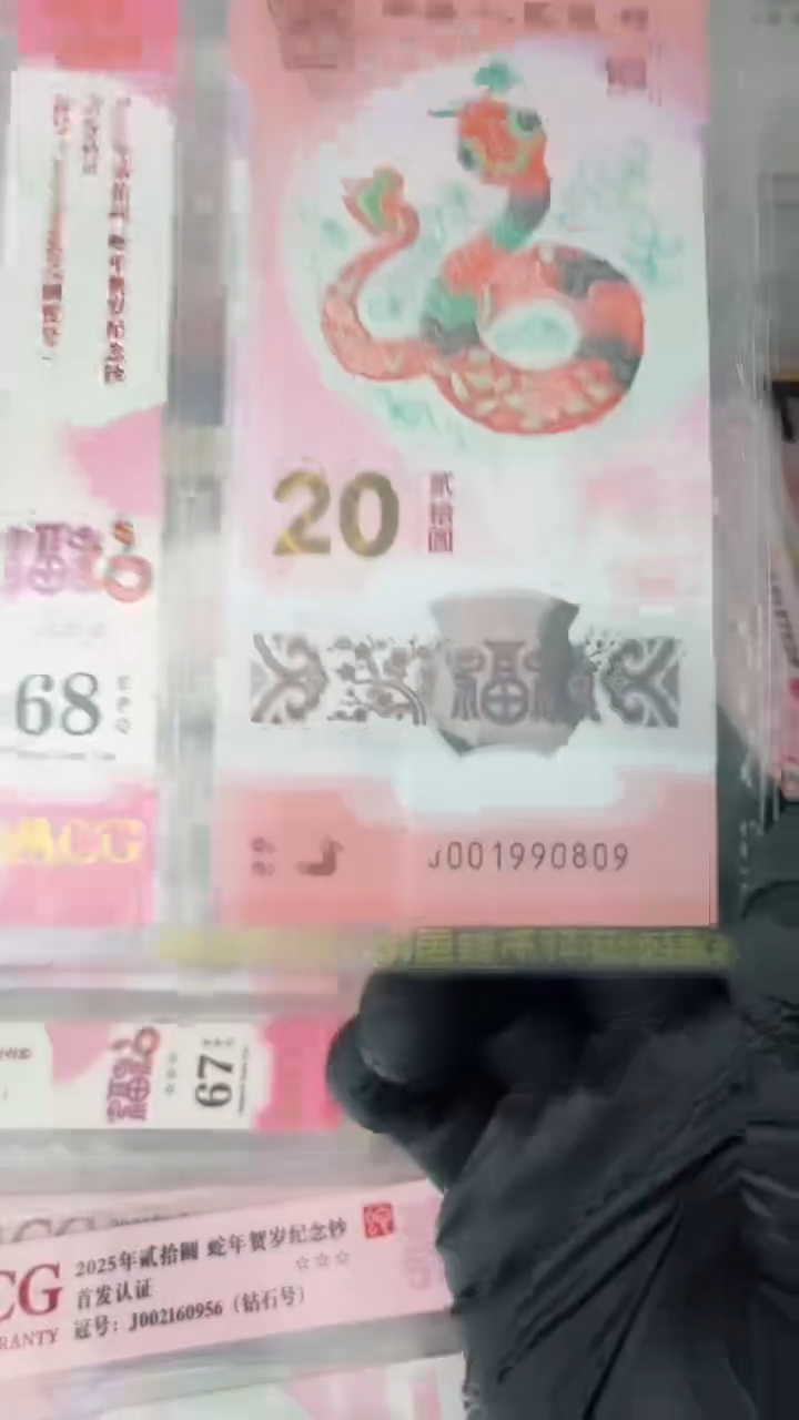 【闪购商品】2025年蛇钞单张J001990809