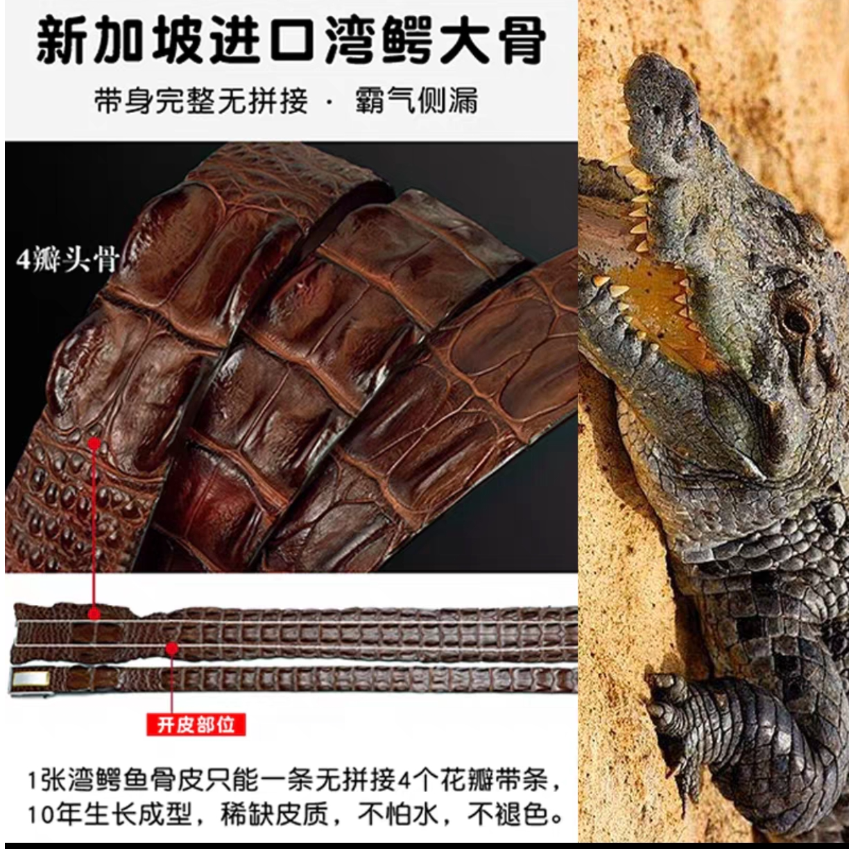 鳄鱼骨皮男士自动扣腰带真皮鳄鱼皮高档裤带钨钢扣头层牛皮耐用