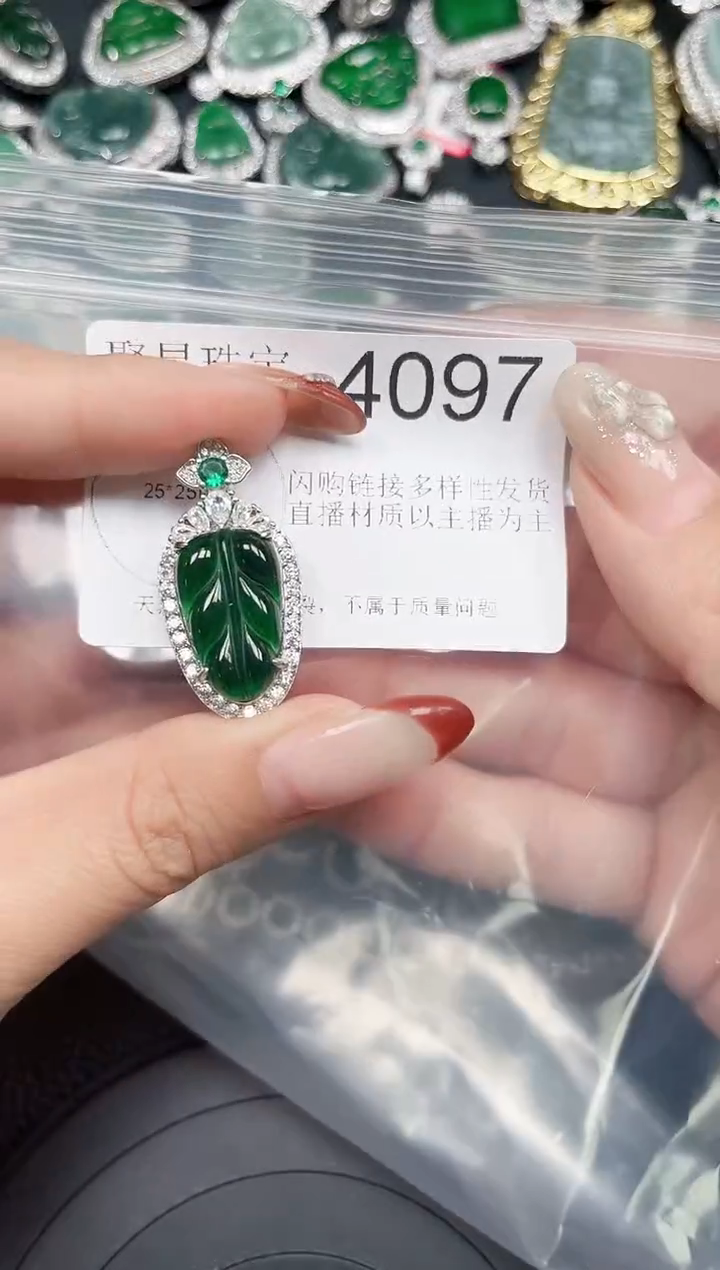 【闪购商品】翡翠颈饰未镶嵌赠皮绳4097