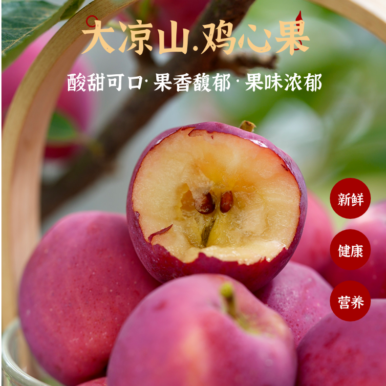 苹果的“妈妈”大凉山盐源鸡心果！2400米云端的风味奇迹！