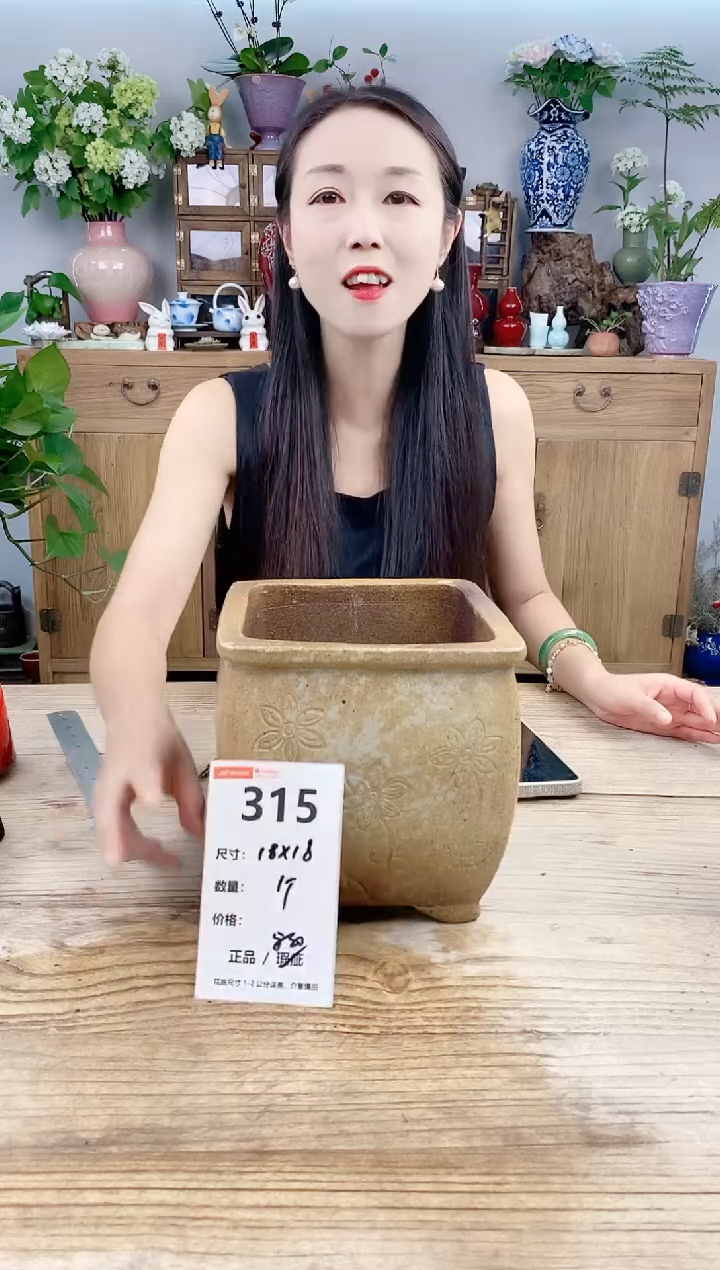 小玩子花盆直播号315