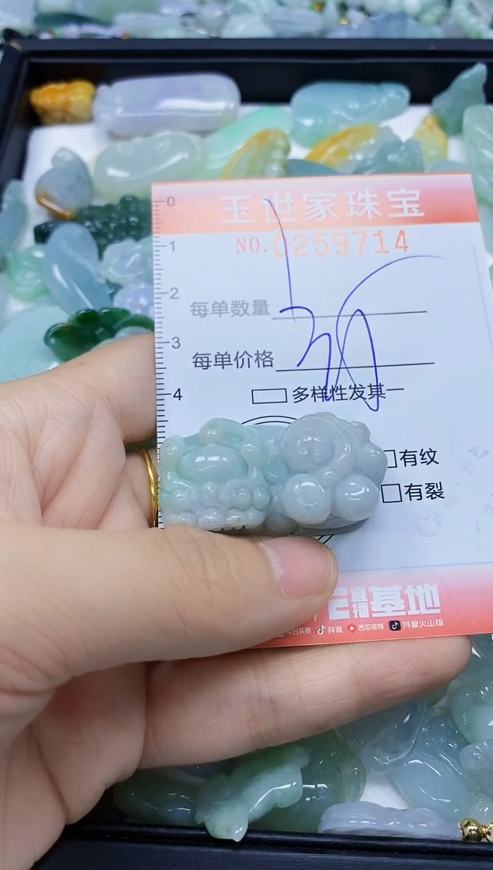 翡翠未镶嵌颈饰闪购0259714