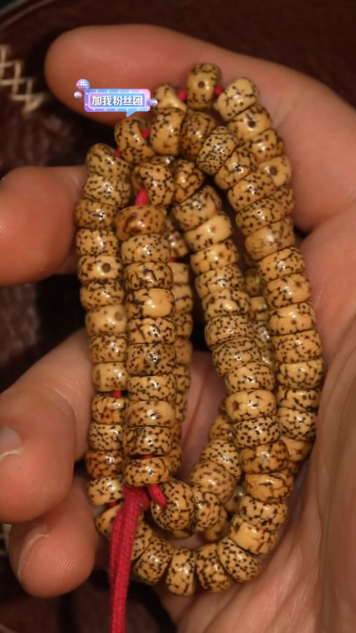 冲赛康胡子哥，藏传念珠259