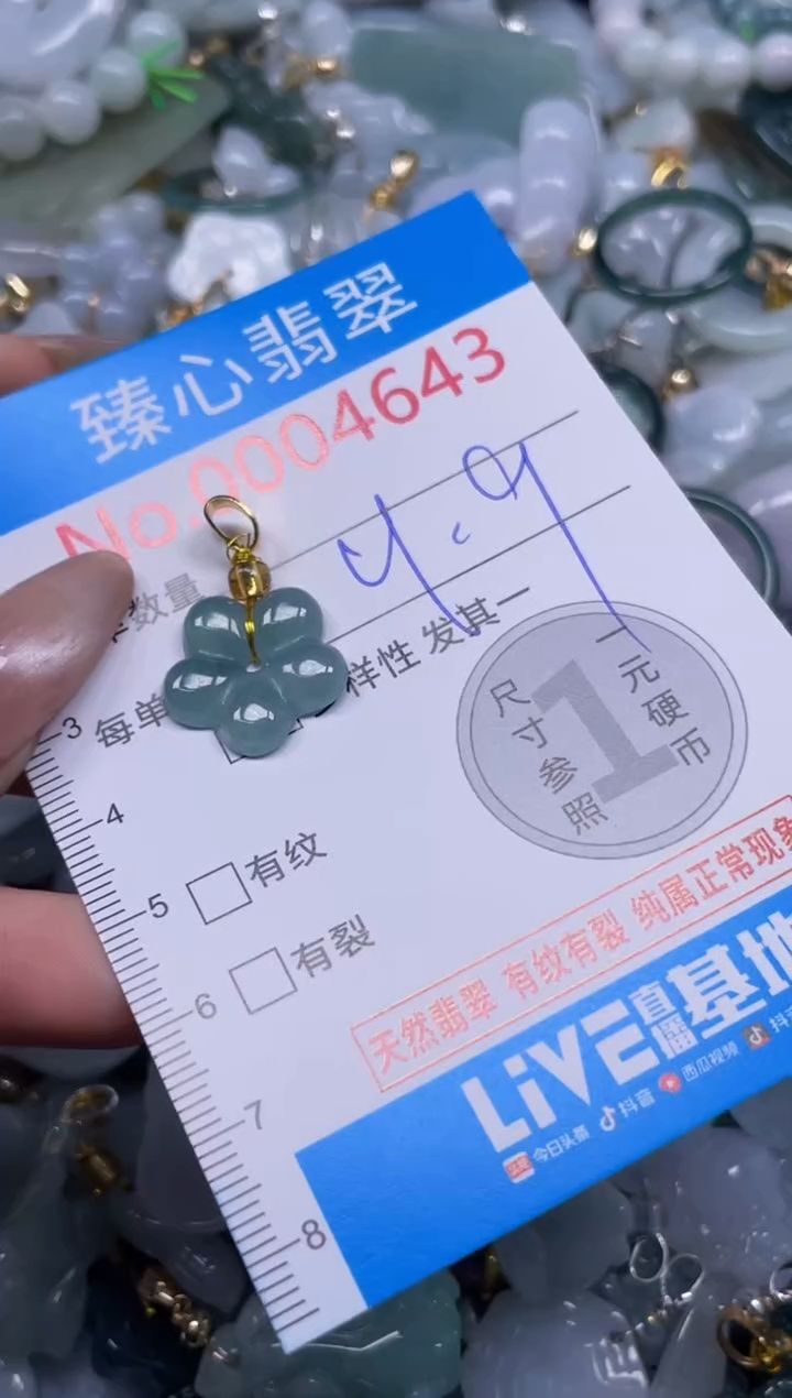 颈饰未镶嵌翡翠4643