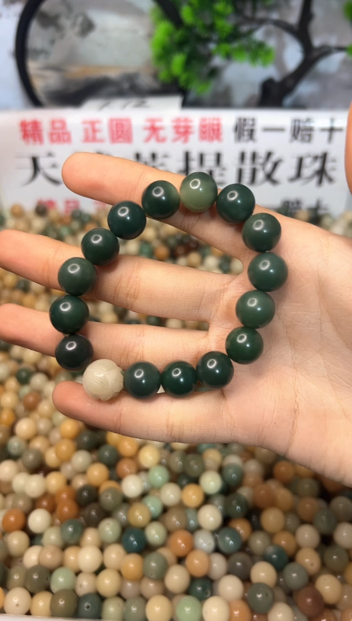 吊坠菩提根/象牙果12mm绿色手串1串