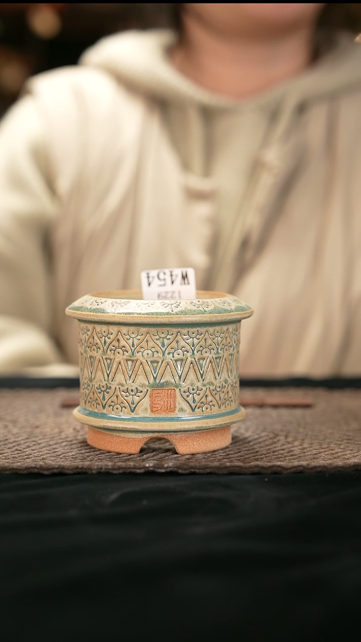 文**儿口径7.3花盆-12-29-454