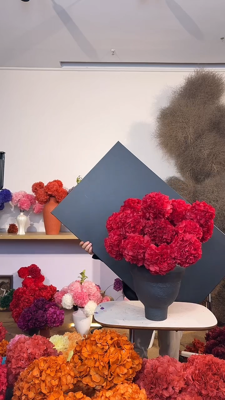 漂色永生大叶绣球花球20枝—正红