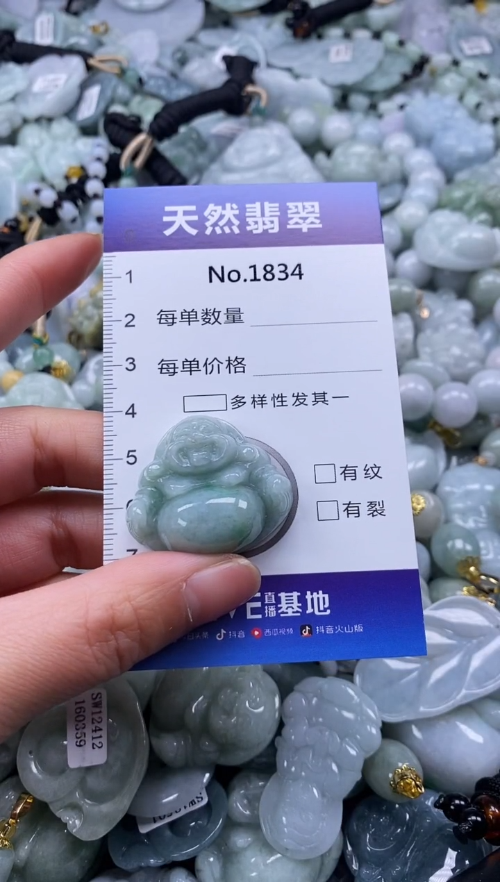 【闪购商品】翡翠颈饰未镶嵌缅甸A货翡翠1834