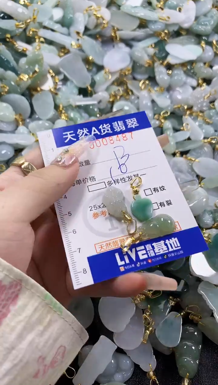 颈饰未镶嵌翡翠天然A货翡翠