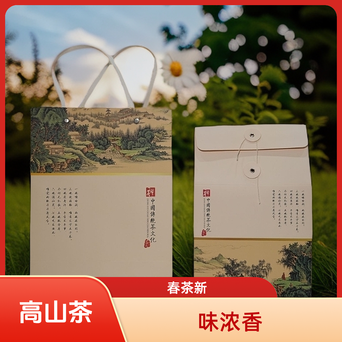 【2025】年新茶高山绿茶广南底圩【姑娘茶】银丝绿茶春茶浓香耐泡