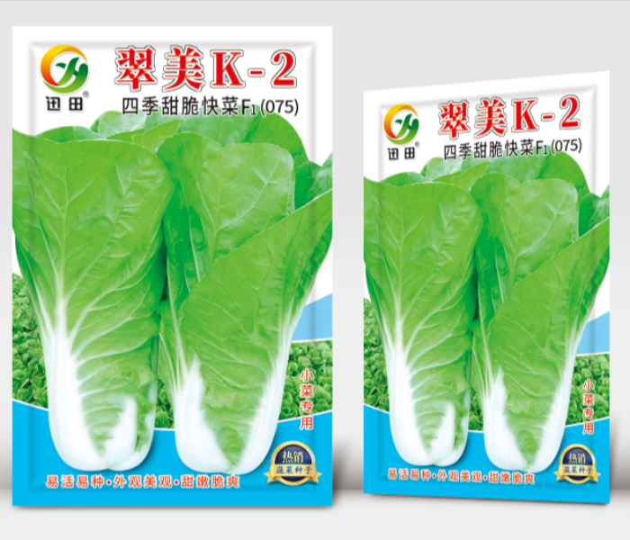 F1翠美K-2四季甜脆快菜蔬菜种子四季菜籽（2500粒）正品菜籽家用