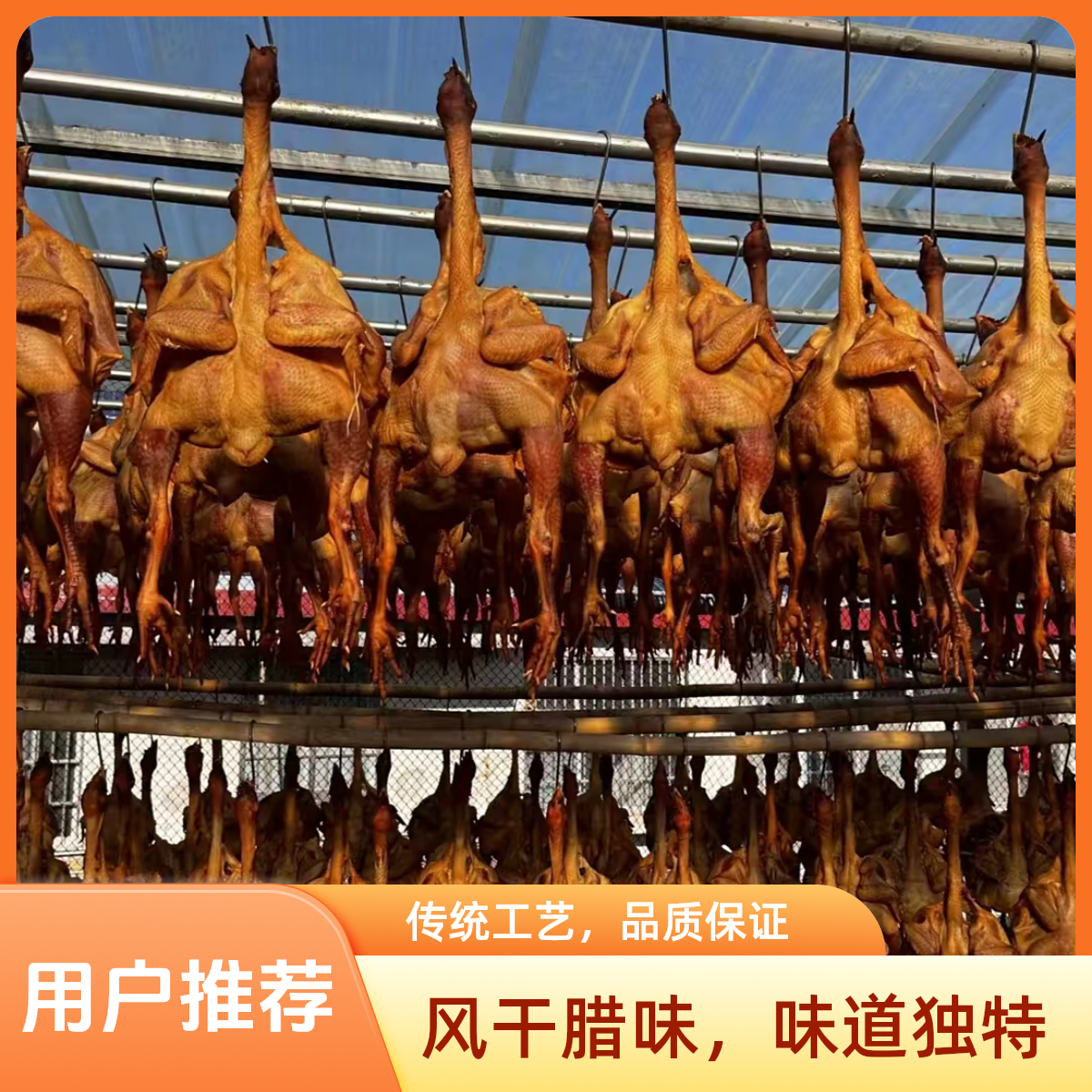 山东沂蒙山特产正宗手撕开袋即食风干鸡腊鸡整只临沂农家熟食