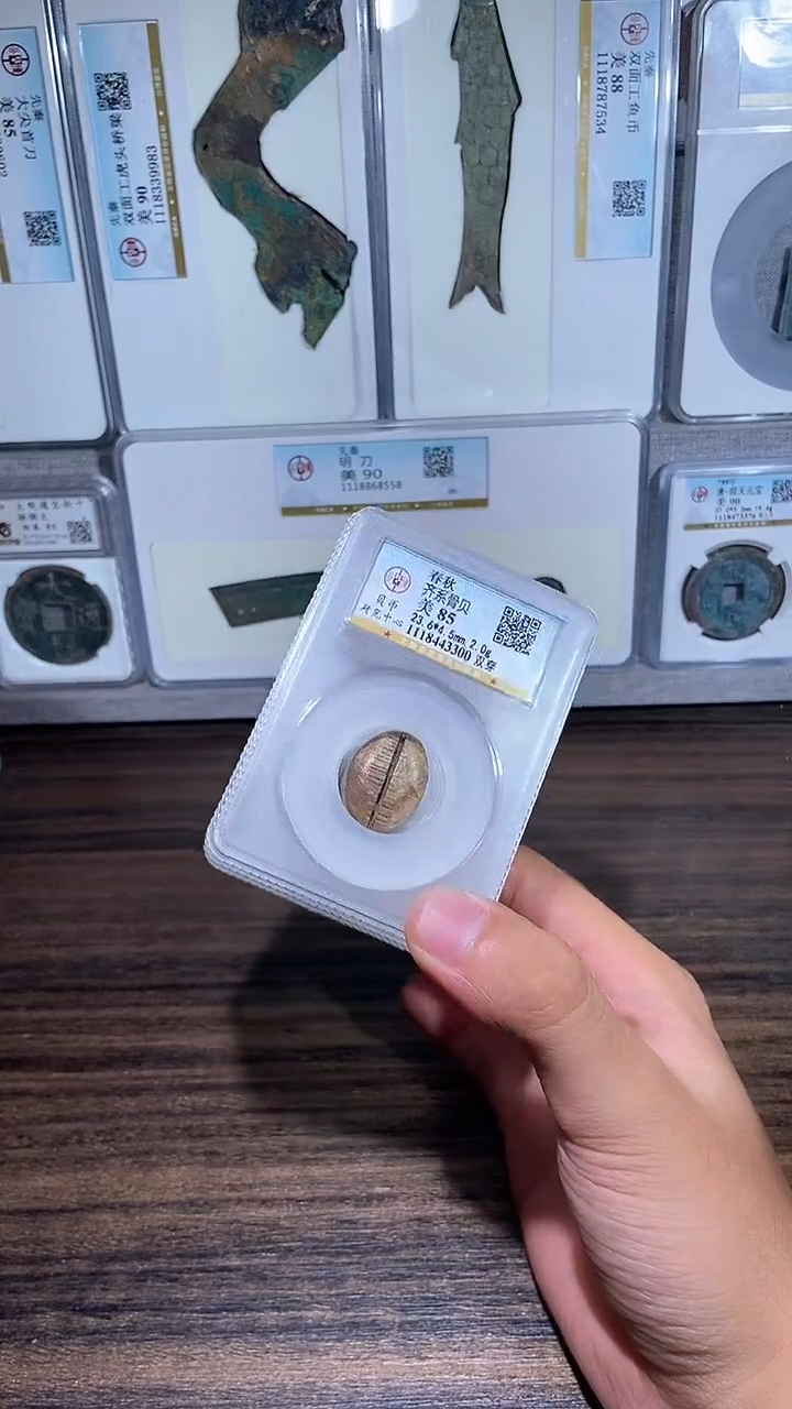 铜历代 骨贝骨贝一枚