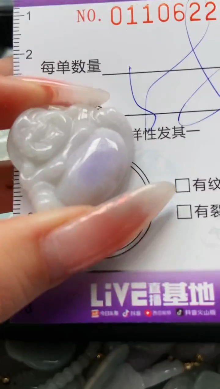 【闪购商品】翡翠颈饰未镶嵌闪购0110622