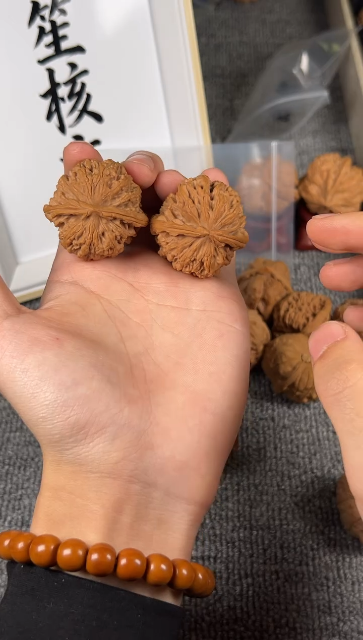 吊坠文玩核桃40尺野蝉14号