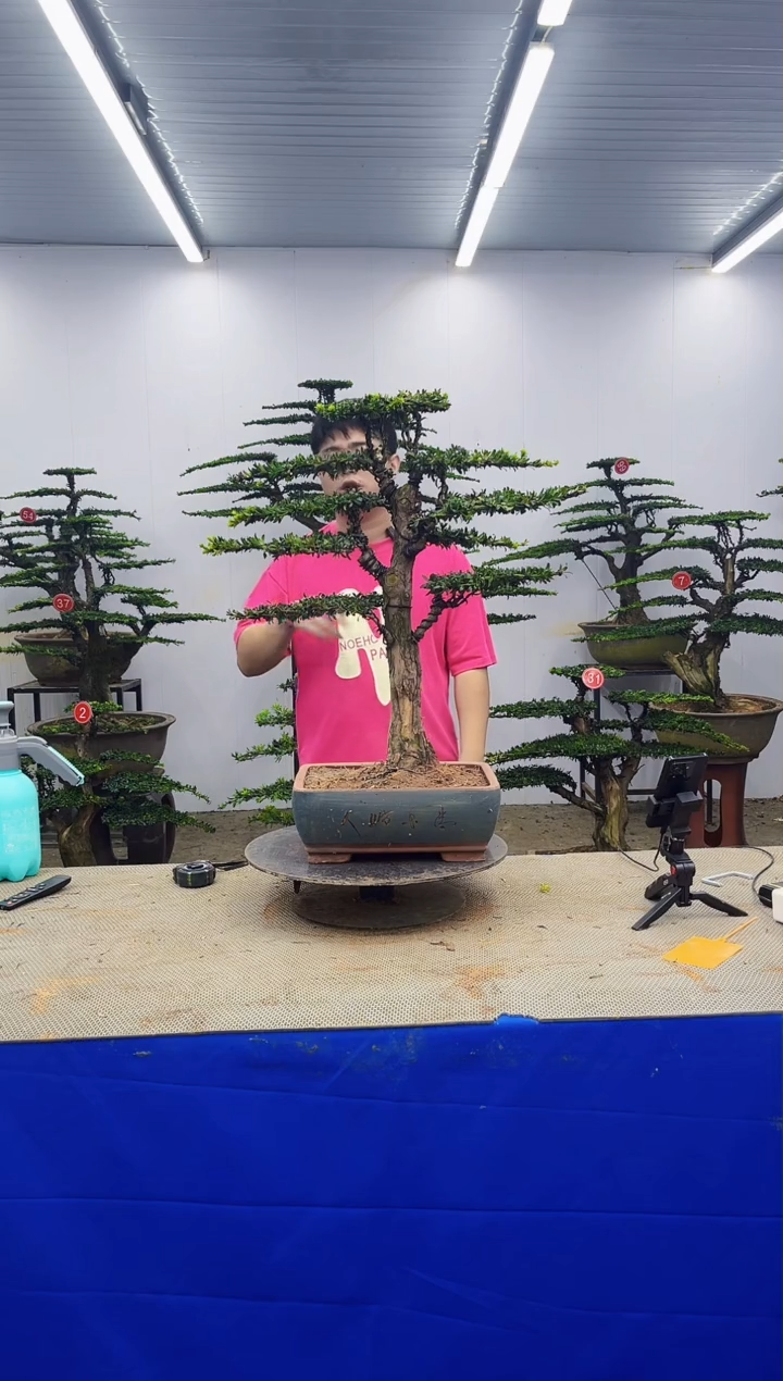 无花朵一物一拍，所见即所得