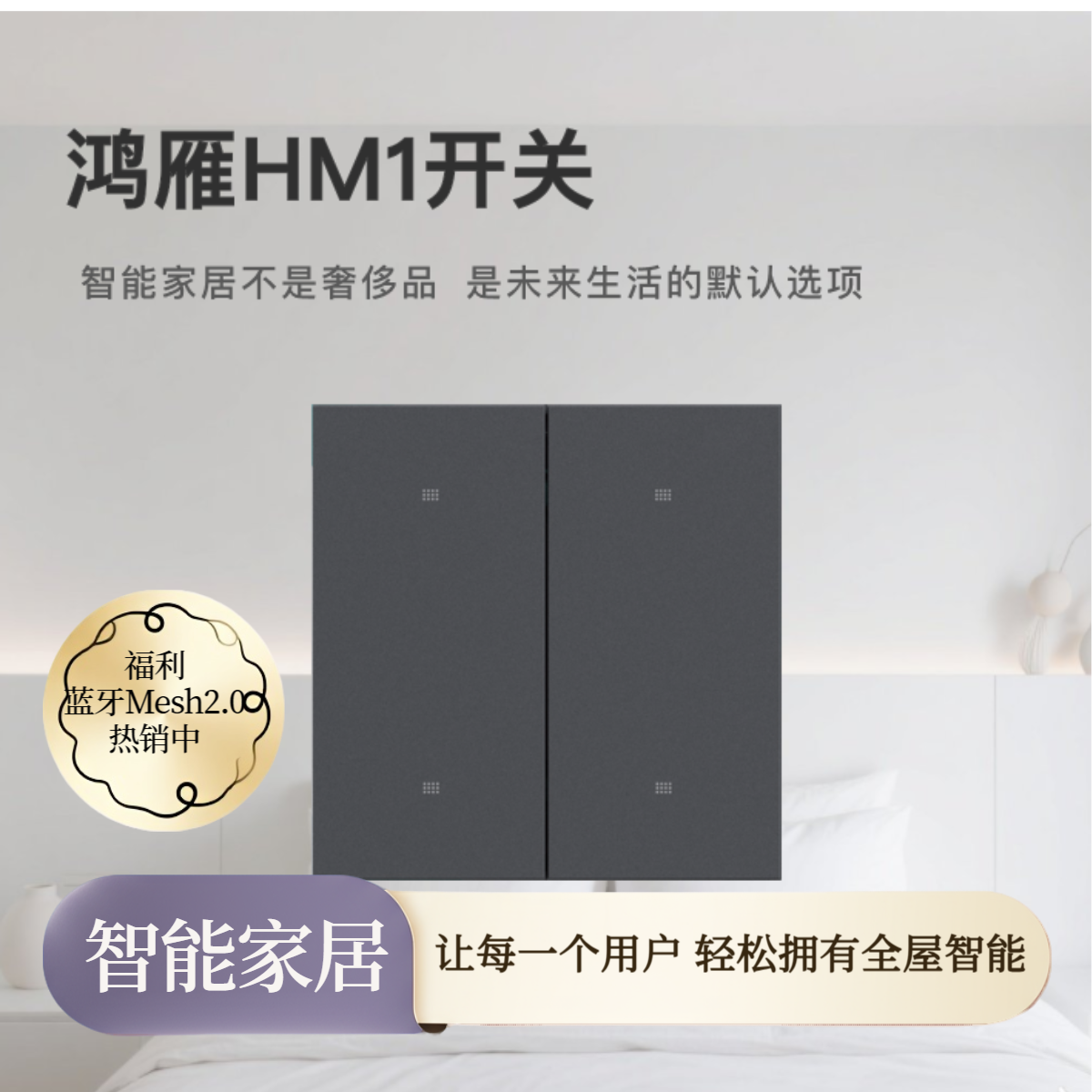 HONYAR&鸿米HM1智能开关/蓝牙Mesh2.0/全屋智能/智能家居