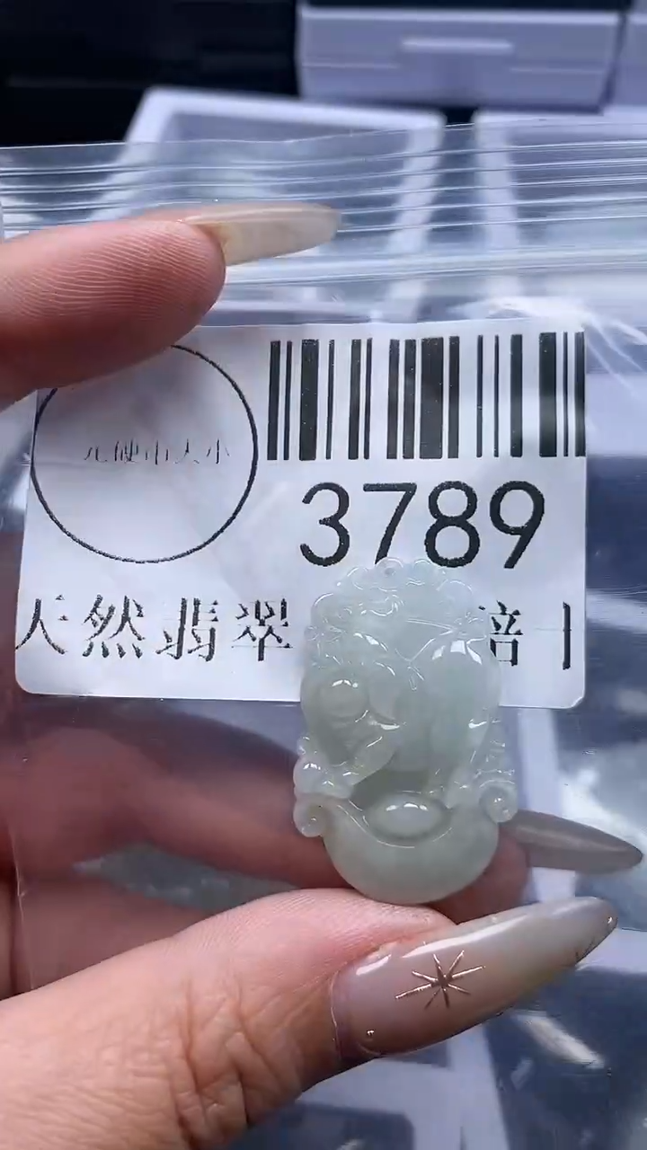 颈饰未镶嵌翡翠3789