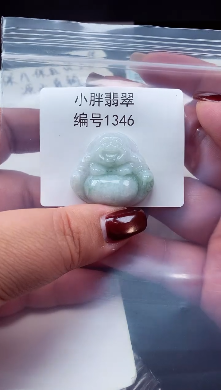 颈饰未镶嵌翡翠缅甸天然A货翡翠1346