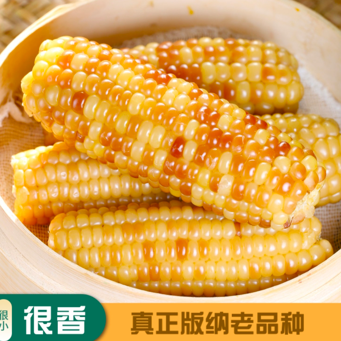 【老品种小糯玉米】西双版纳正宗花糯小玉米