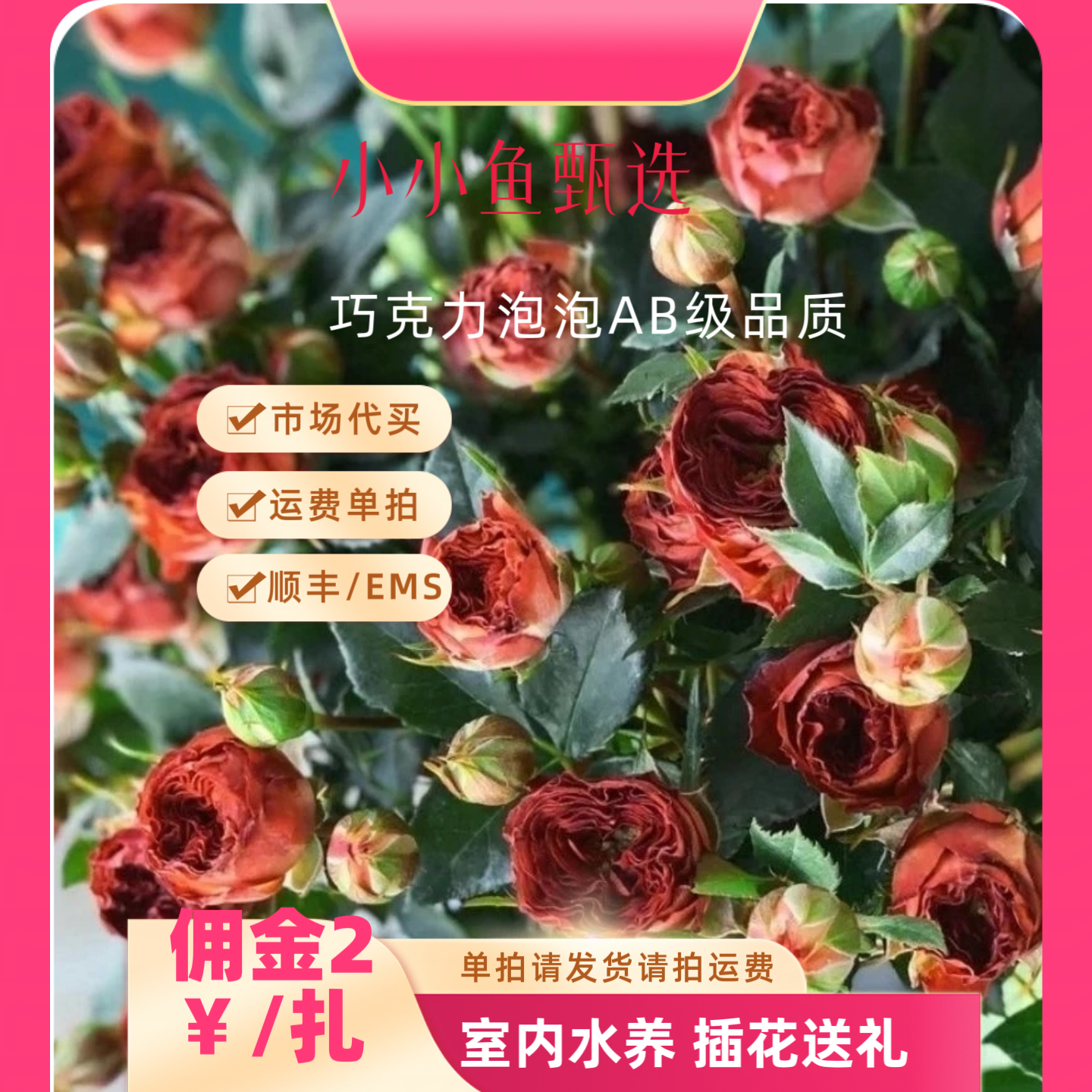小小鱼甄选AB级多头玫瑰巧克力泡泡（市场代买 运费单拍）