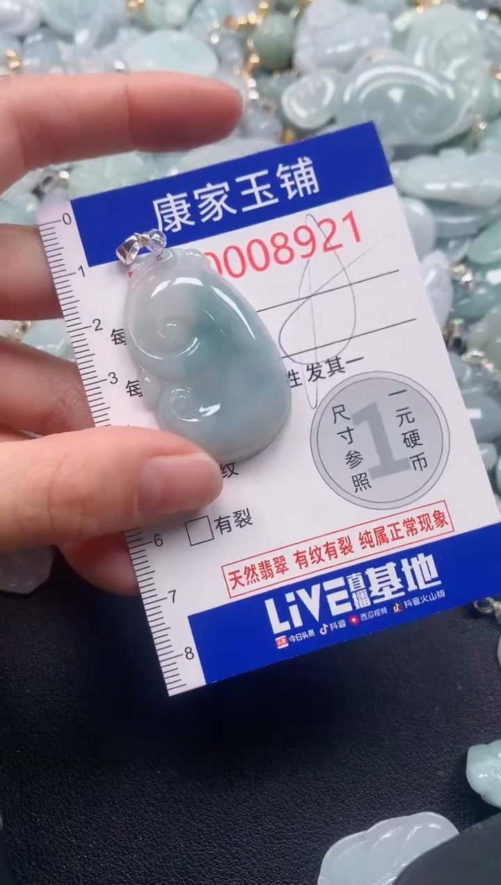 颈饰未镶嵌翡翠8921