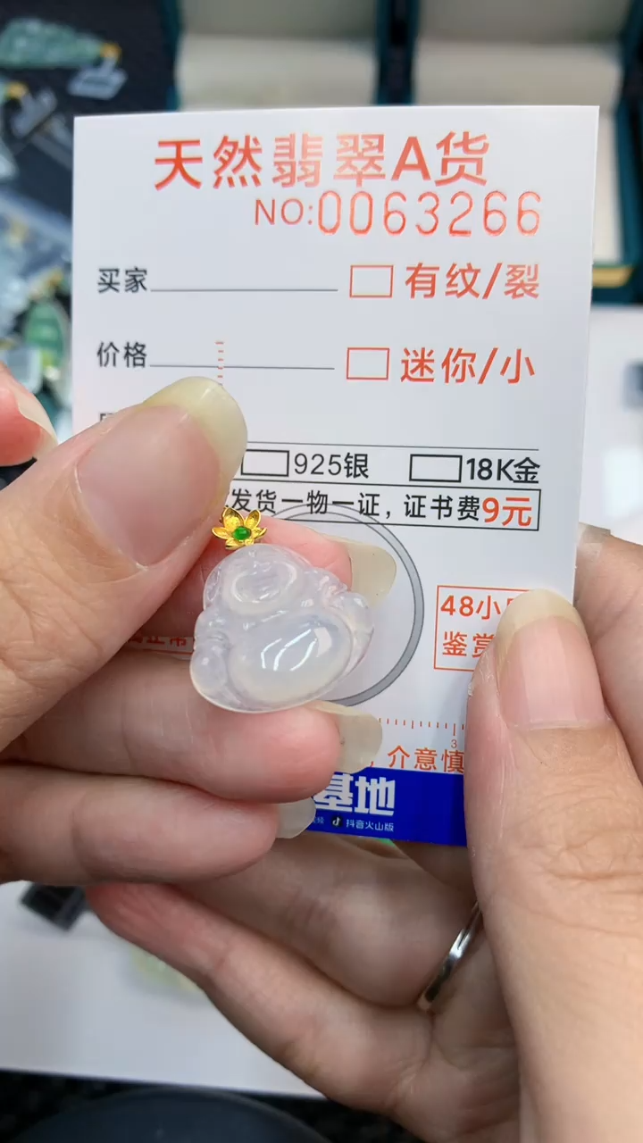 【闪购商品】翡翠颈饰18K金镶嵌            8