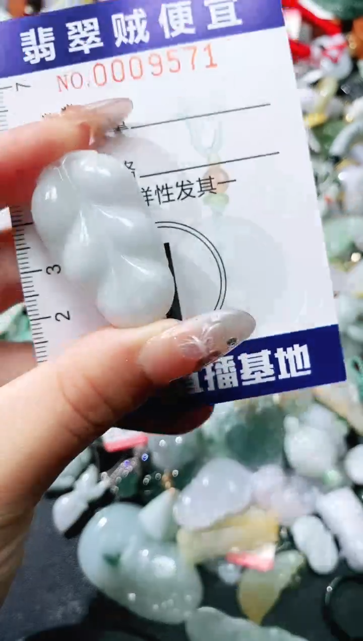 【闪购商品】翡翠未镶嵌颈饰闪购0009571