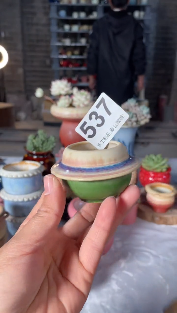 瓷片537小芳直播编号