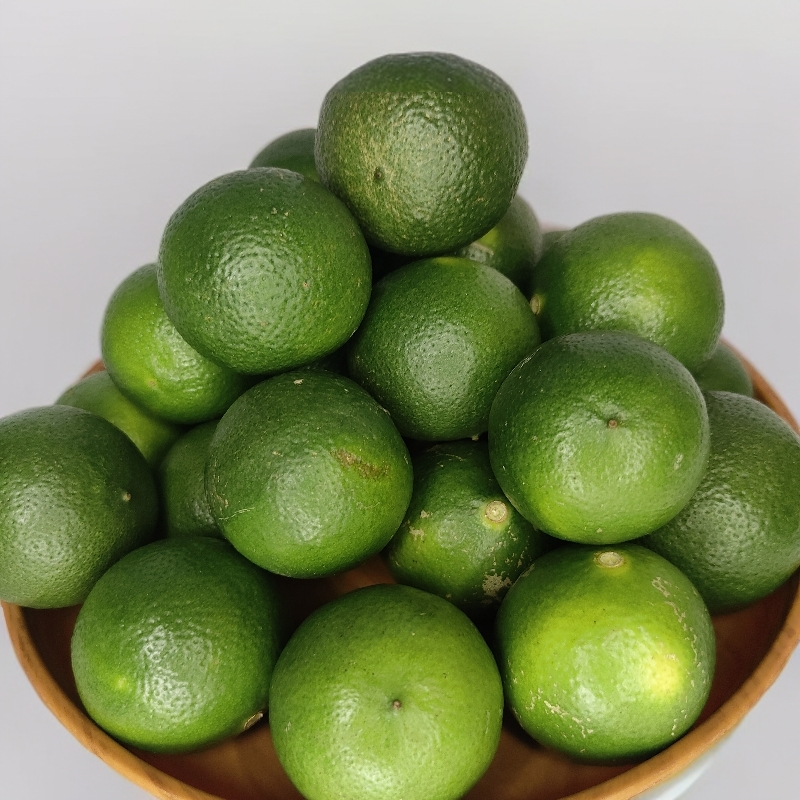 【东子】云南土特产-青柠檬