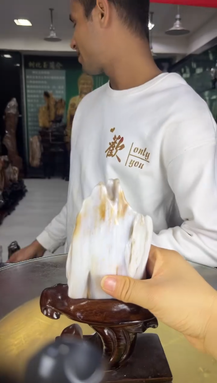 缅甸天然树化玉精品摆件