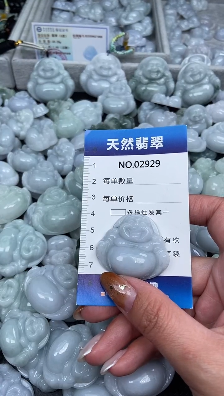 颈饰未镶嵌翡翠纯天然A货翡翠2929