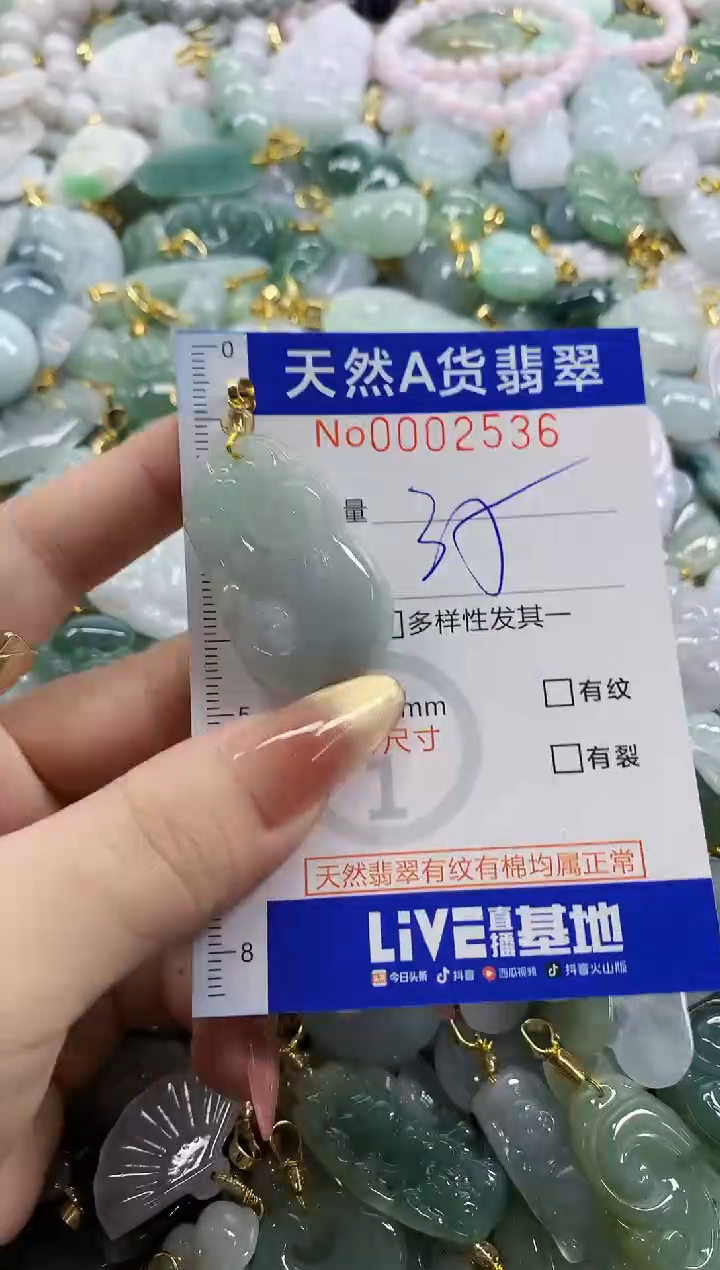 颈饰未镶嵌翡翠天然A货翡翠