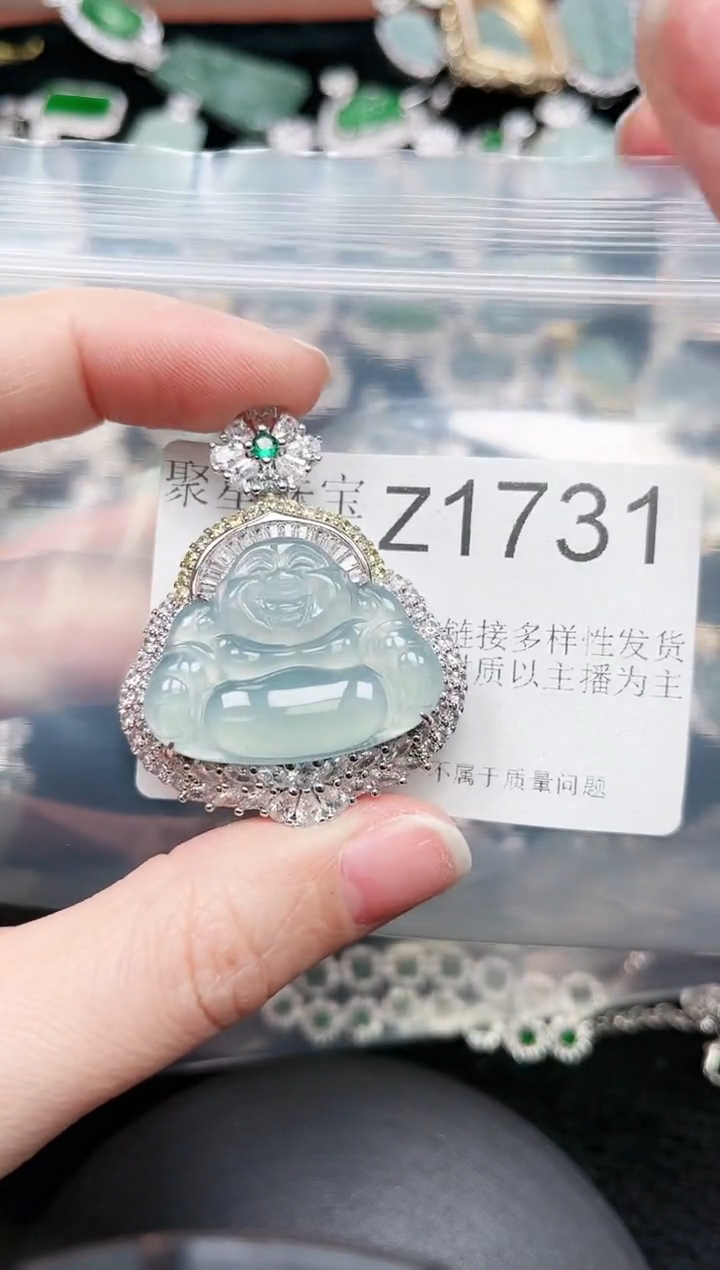 【闪购商品】翡翠颈饰未镶嵌赠皮绳1731