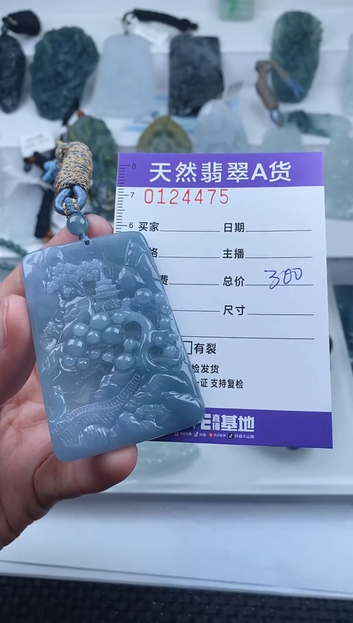 【闪购商品】翡翠颈饰未镶嵌         475
