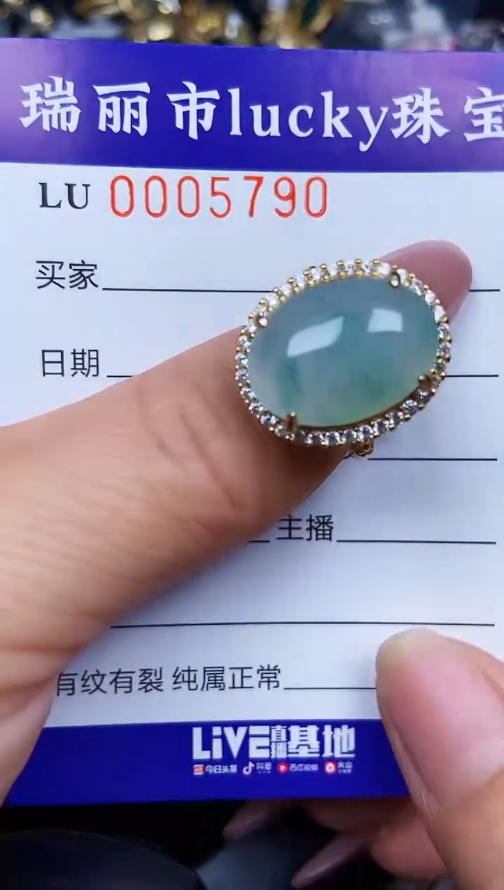 翡翠银S925镶嵌颈饰5790