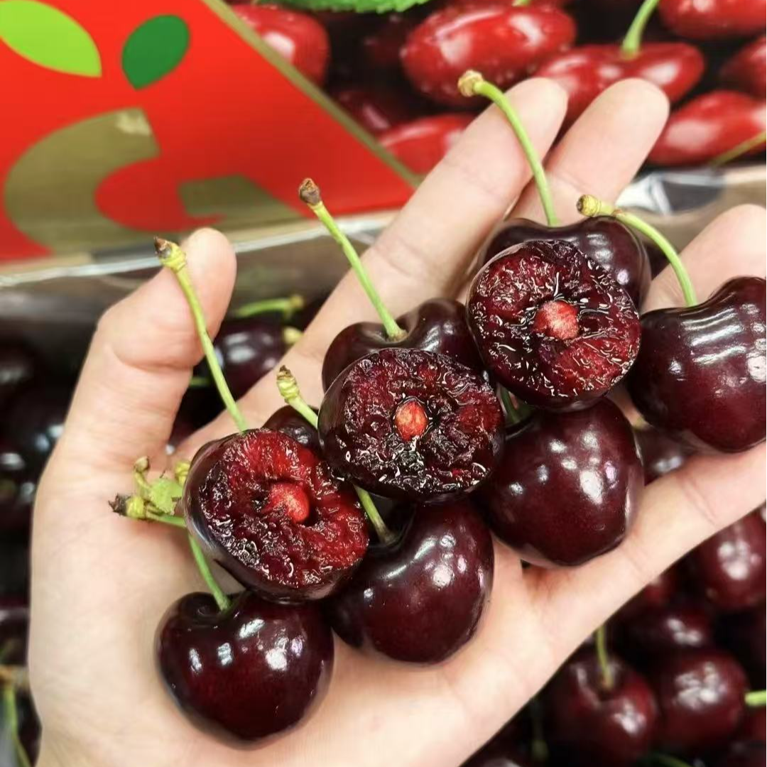 【5斤原箱】智利进口桑提娜海运车厘子3J内附果径卡顺丰