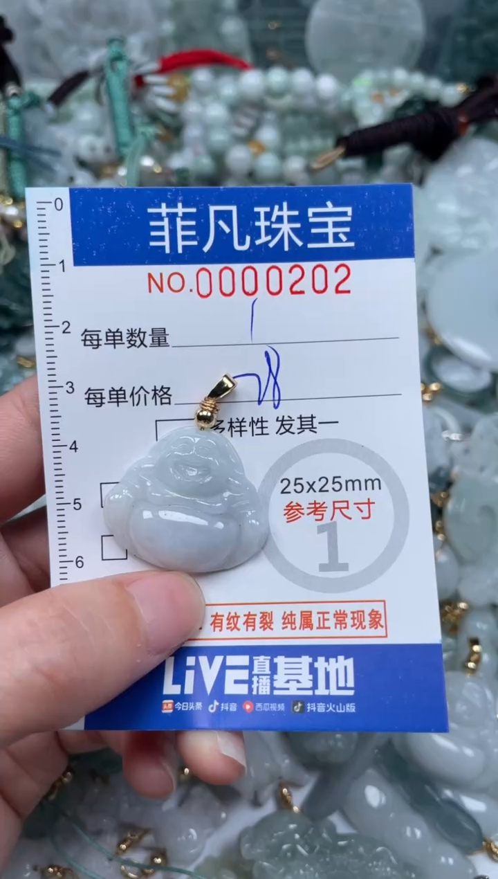 【闪购商品】翡翠颈饰未镶嵌00..0202