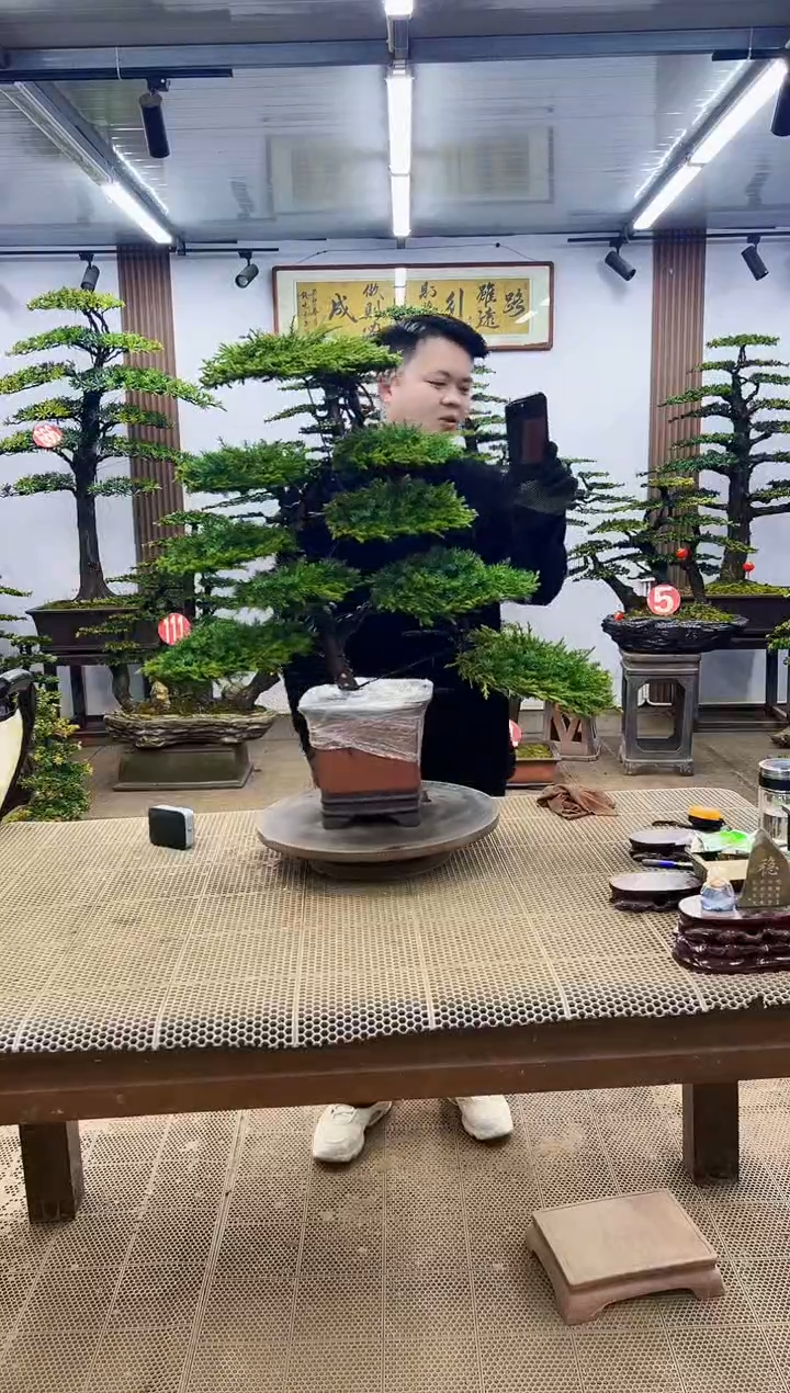 【闪购商品】00000000