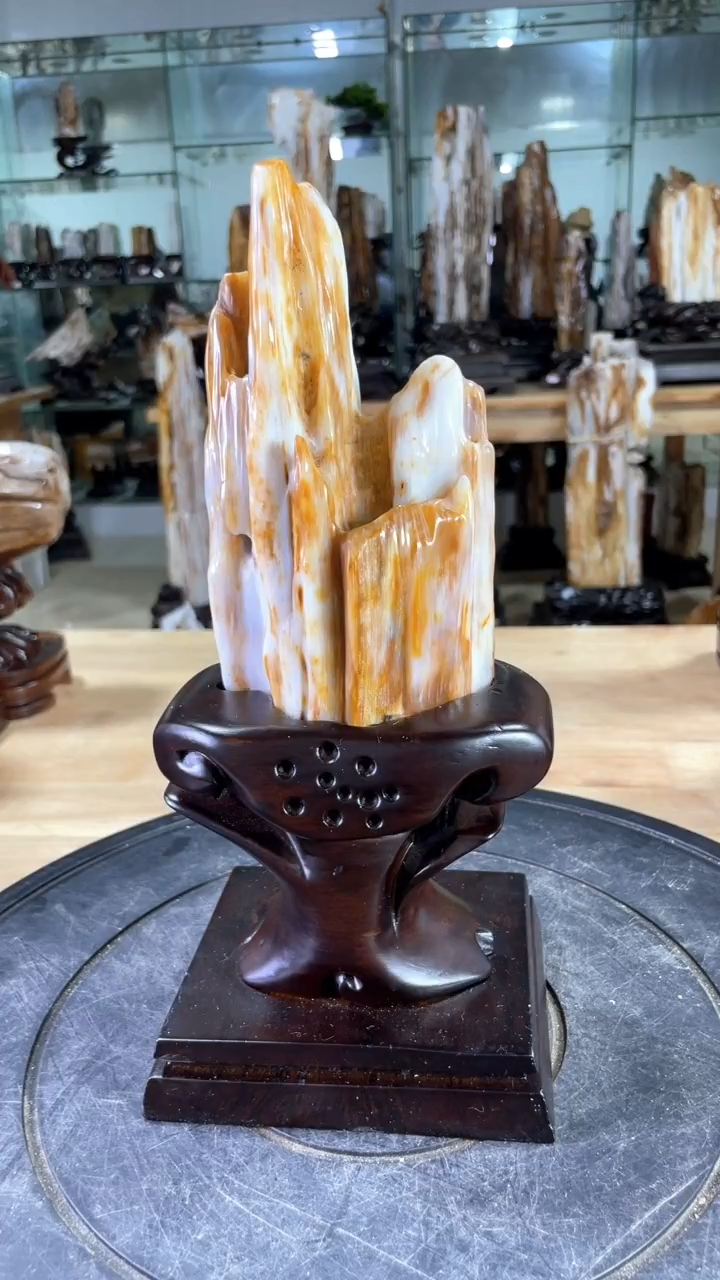 【闪购商品】硅化玉珠宝奇石未镶嵌268