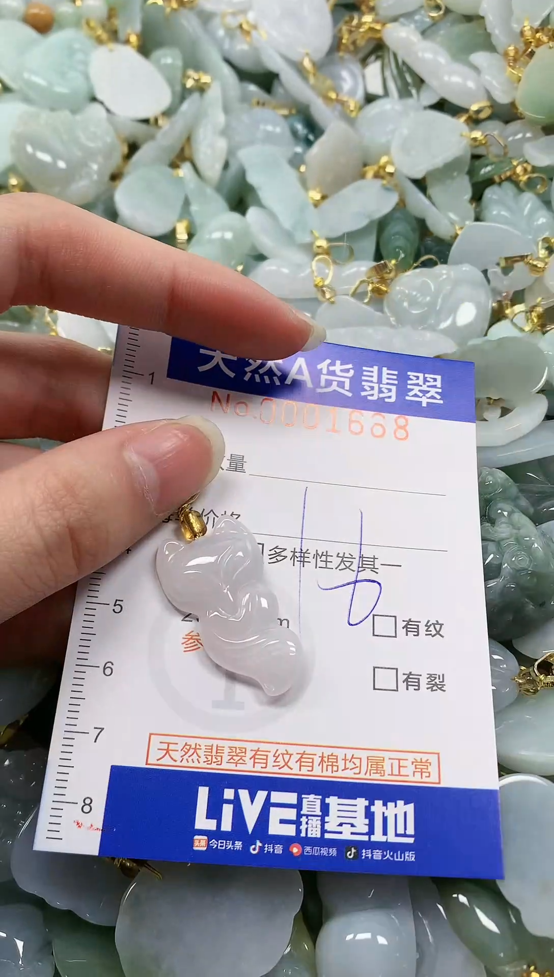 颈饰未镶嵌翡翠纯天然a货翡翠