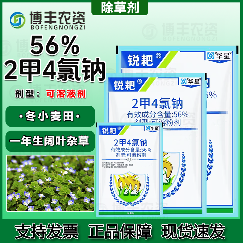 华星锐耙56%二甲四氯钠2甲4氯钠小麦一年生阔叶杂草除草剂农药