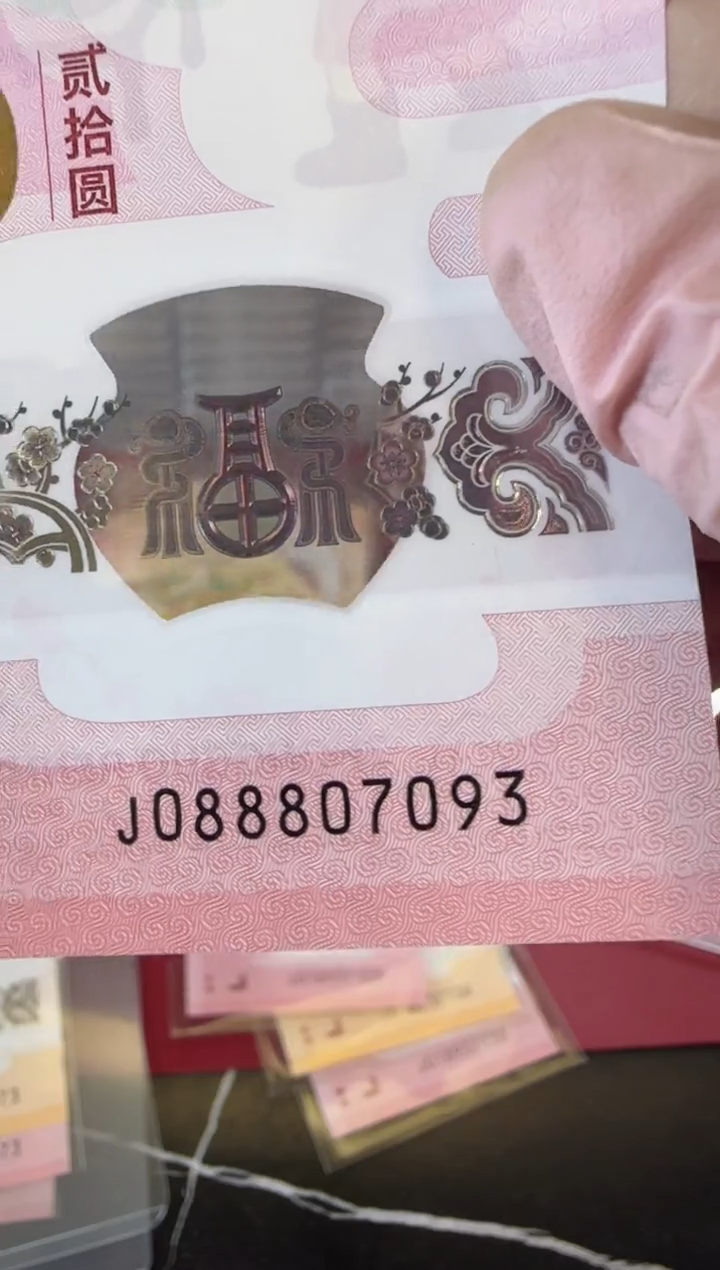 【闪购商品】塑料2025蛇钞单张裸啊啊啊啊啊啊