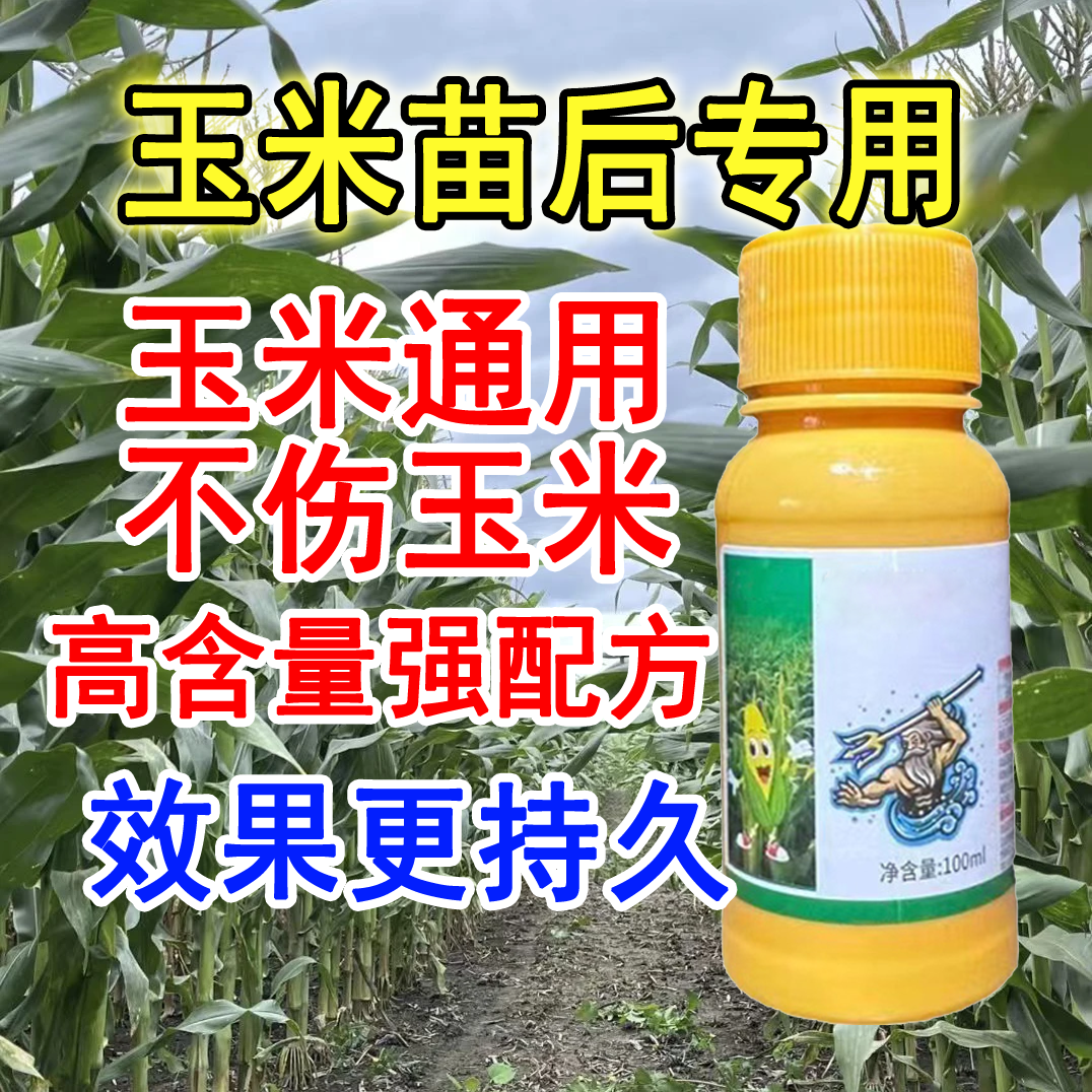 玉米苗后专用不伤玉米农田大田玉米专用水溶喷施技术肥