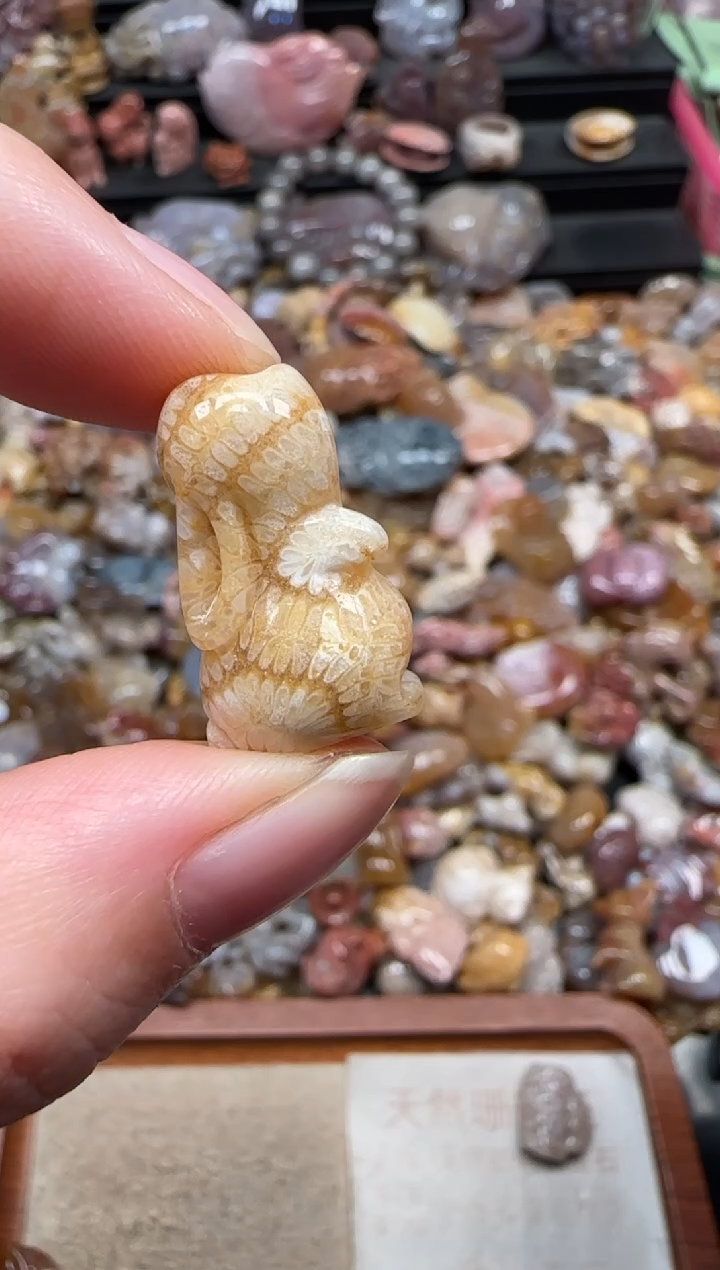 颈饰未镶嵌硅化珊瑚（珊瑚玉）888