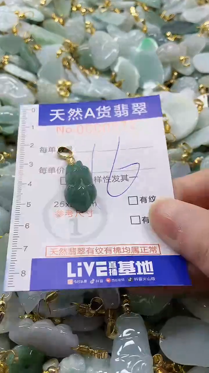 颈饰未镶嵌翡翠纯天然a货翡翠