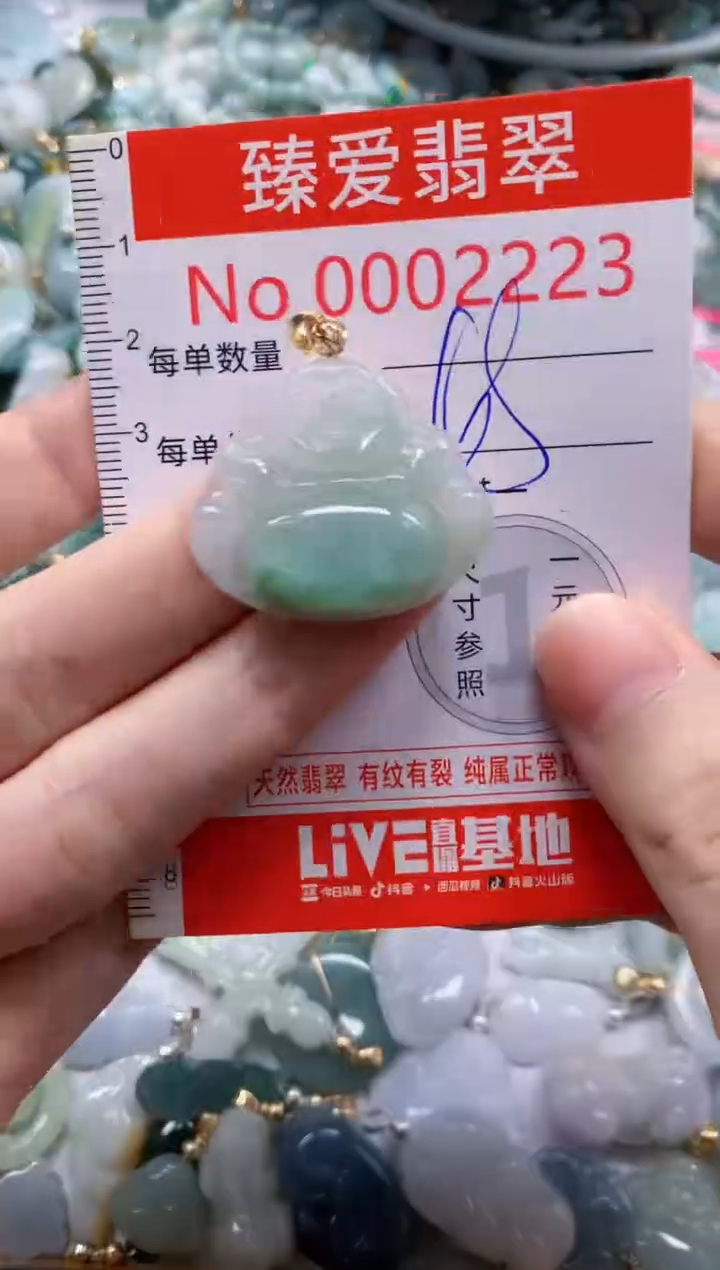 翡翠未镶嵌吊坠(不含链)2223