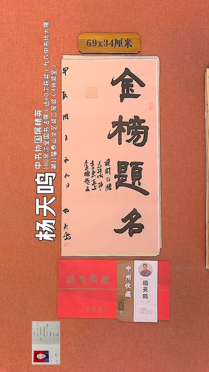 【闪购商品】书法133        杨天鸣书法作品