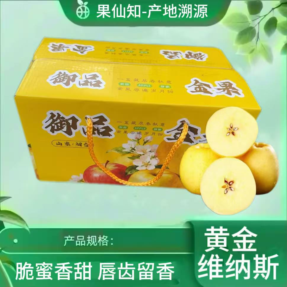 【黄金维纳斯苹果】【甜度炸弹-带箱3.5斤左右】山东省