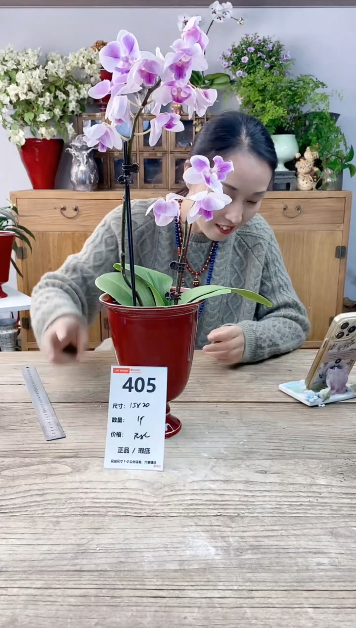 小玩子花盆直播编号405